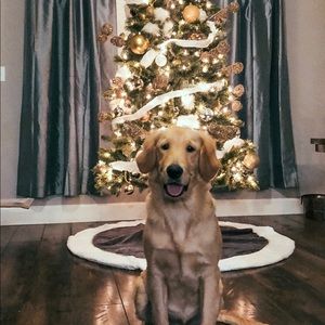 Meet your Posher, Tim